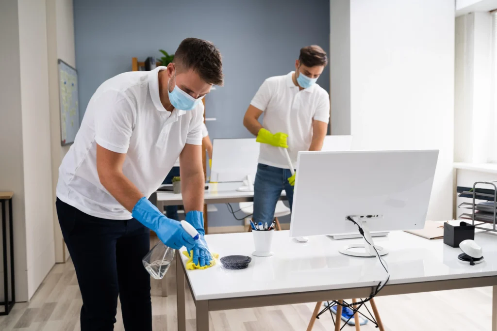 Professional Cleaning Services