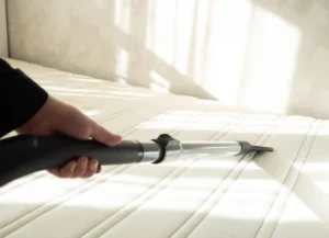 premium cleaning on the couch