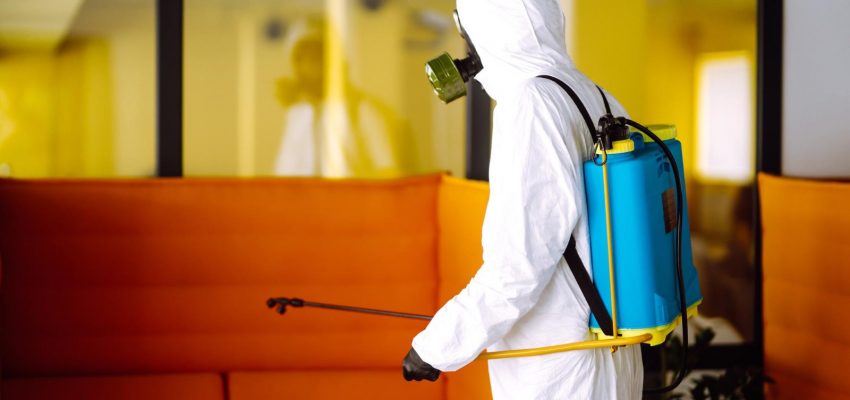 disinfection & pest control