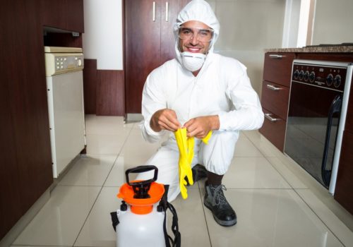 insured cleaning technicians